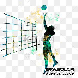 郑州市青少年三大球联赛排球比赛收官